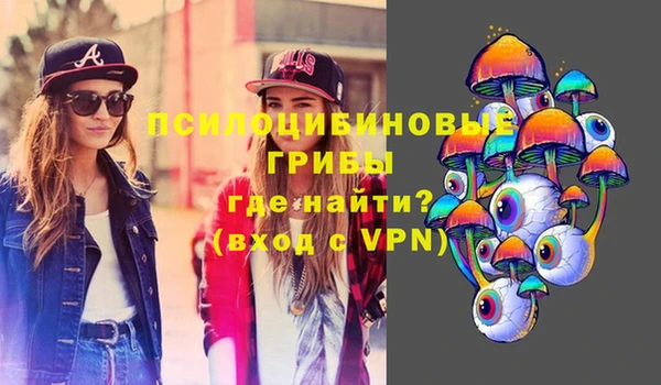 СК Абдулино