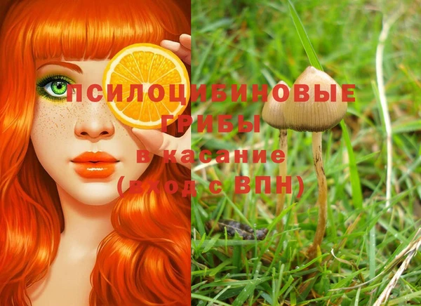 первитин Абинск