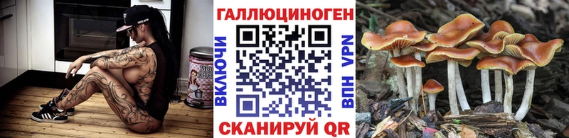 Галлюциногенные грибы Psilocybe  наркошоп  Разумное 