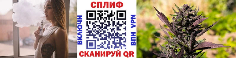 мега зеркало Разумное Каннабис план